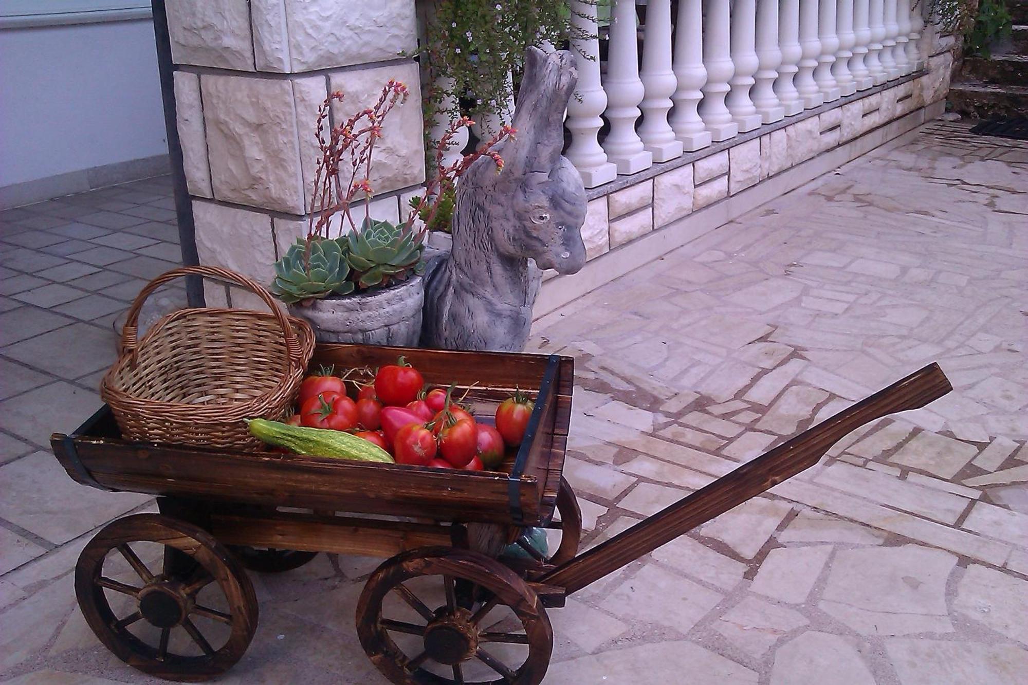 Apartment Pansion Ivana